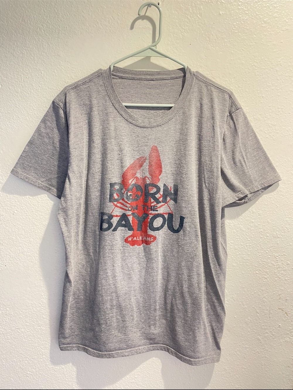Born on the Bayou New Orleans NOLA Graphic Tee Gray Crawfish Shirt Size XL